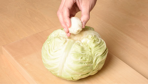 くりぬいた穴に湿らせたキッチンペーパーを詰める