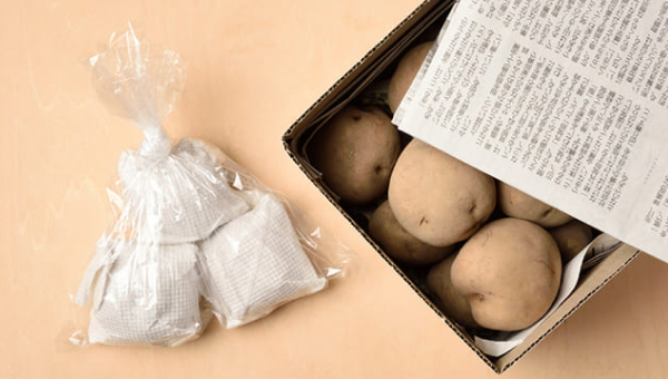 野菜に適した保存で、鮮度を保ちながら長持ち 野菜に適した保存で、鮮度を保ちながら長持ち