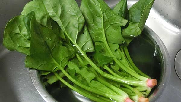 ほうれん草をたっぷりの水に浸して洗う