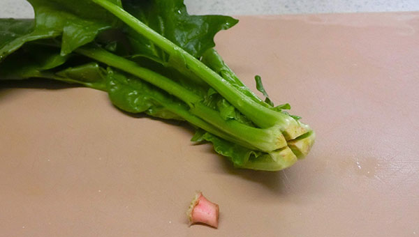 根元に十字の切り込みを入れて、水に浸して洗う