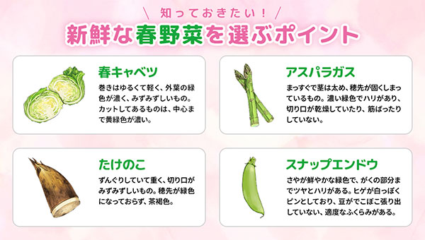 新鮮な春野菜を選ぶポイント