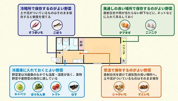 野菜の保存場所の条件