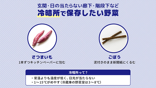 冷暗所で保存したい野菜