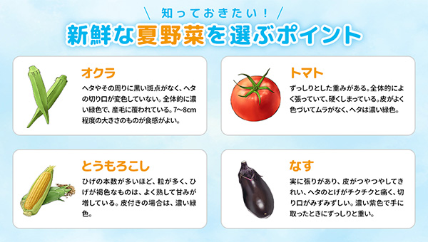 新鮮な夏野菜を選ぶポイント 新鮮な夏野菜を選ぶポイント