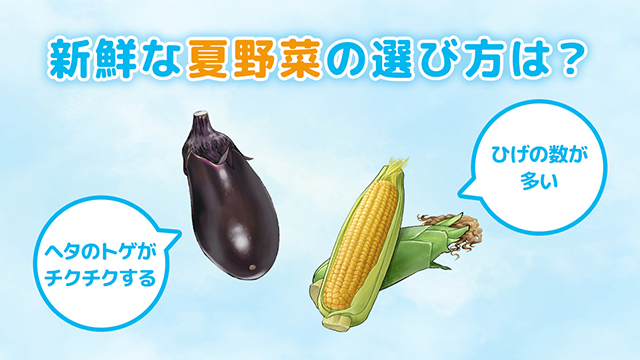 オクラやトマトなど夏が旬の野菜の鮮度を見分けるポイントを解説