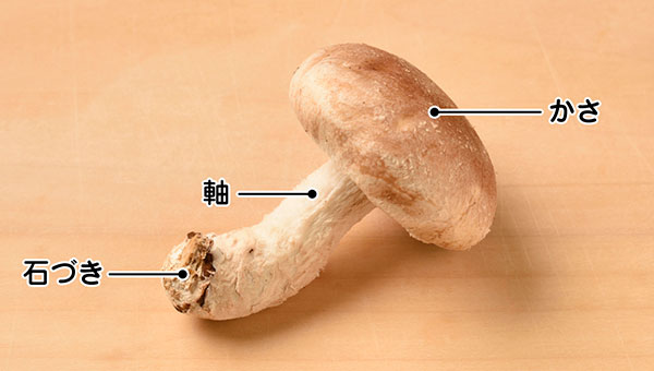 椎茸のかさ、軸、石づき 椎茸のかさ、軸、石づき