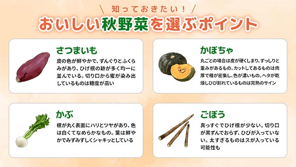 おいしい秋野菜を選ぶポイント おいしい秋野菜を選ぶポイント