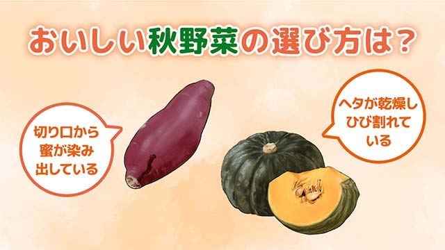 さつまいもやかぼちゃなど秋においしい野菜の見分け方を解説