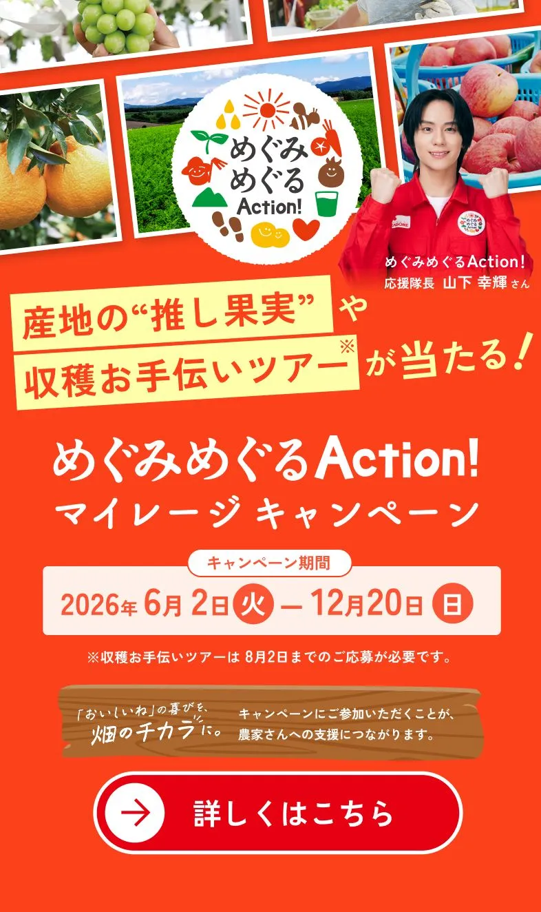 めぐみめぐる Action!