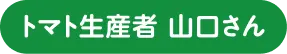トマト生産者 山口さん