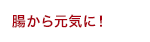 腸から元気に！