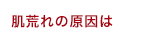 肌荒れの原因は