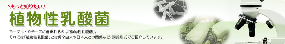 ƒm肽A_ۃ[Og`[YɊ܂܂̂́u_ہvBł́uA_ہvƂ͉HR{lƂ̊֌WȂǁAu``łЉĂ܂B