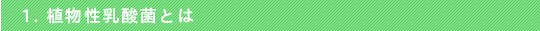 1. A_ۂƂ