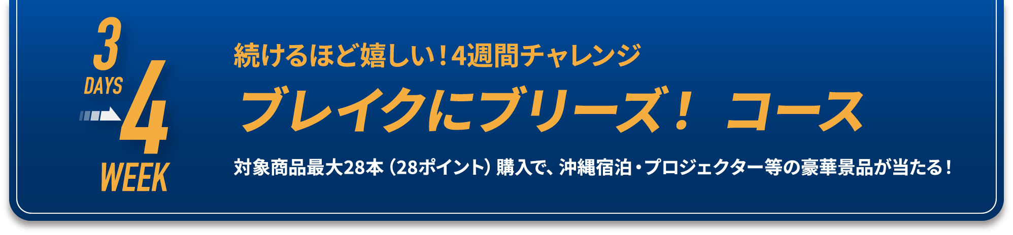 4WEEK ブレイクにブリーズ！ コース