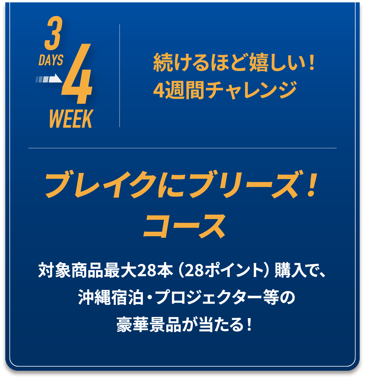 4WEEK ブレイクにブリーズ！ コース