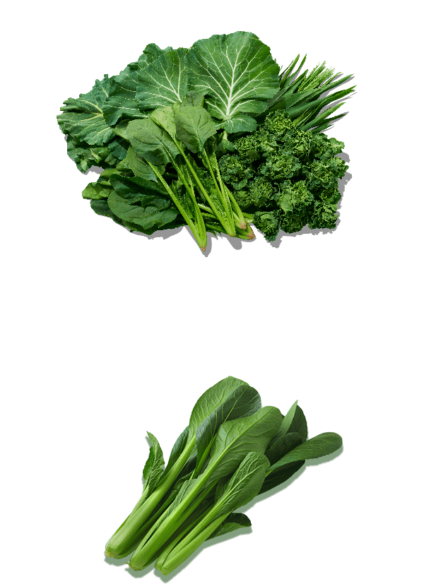 ケール Kale 大麦若葉 Barley Grass ほうれん草 Spinach プチヴェール Putit Vert