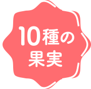 10種の果実ミックス