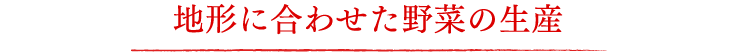 地形に合わせた野菜の生産