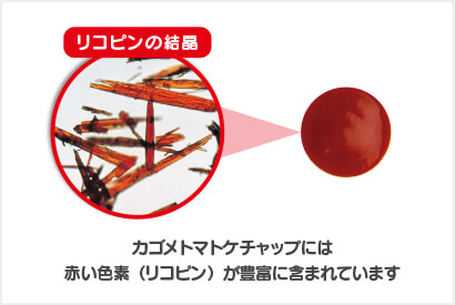 カゴメトマトケチャップには赤い色素（リコピン）が豊富に含まれています