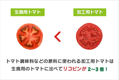 トマト調味料などの原料に使われる加工用トマトは生食用のトマトに比べてリコピンが2～3倍！