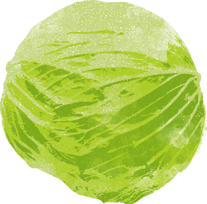 cabbage