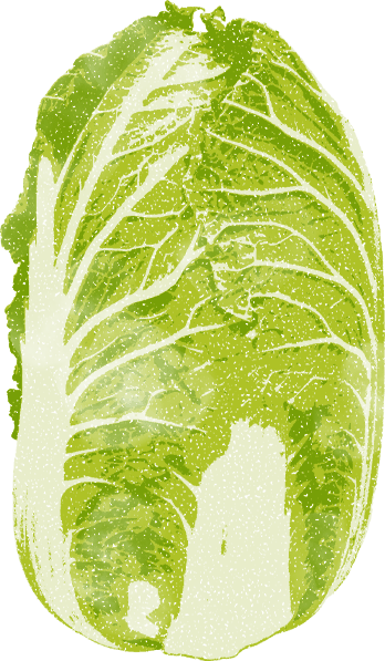 napacabbage
