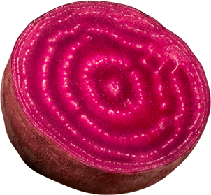 vegetable