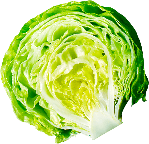 vegetable
