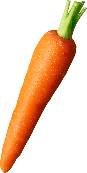 vegetable