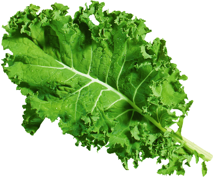 vegetable