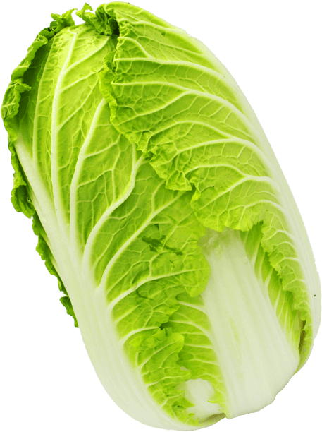 vegetable