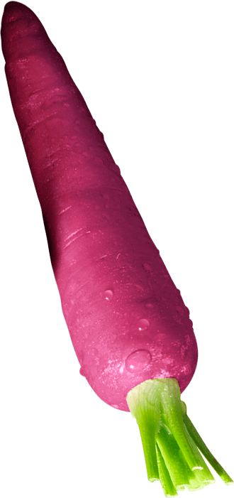 vegetable