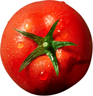 vegetable