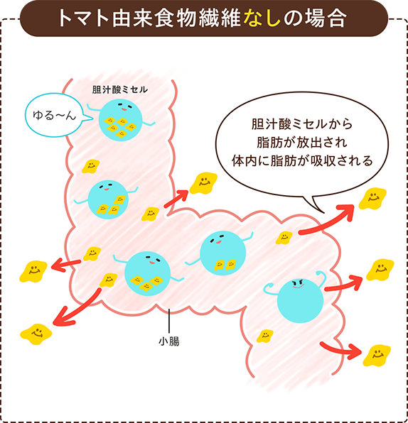 トマト由来食物繊維なしの場合