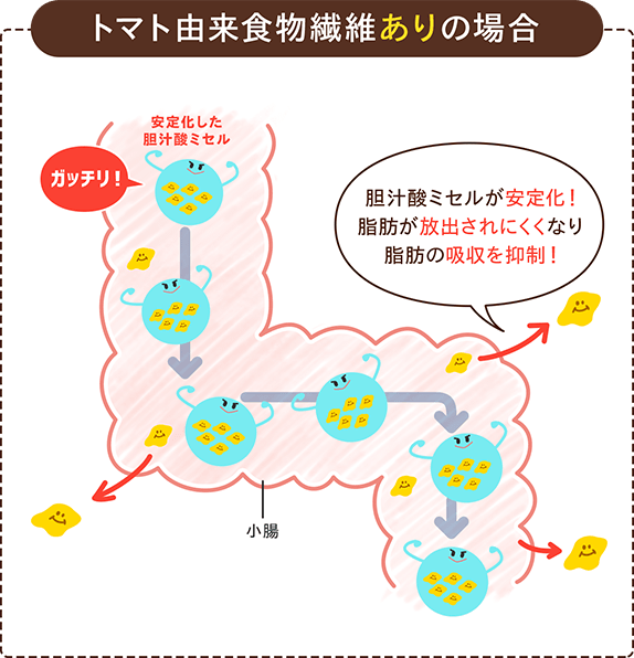 トマト由来食物繊維ありの場合