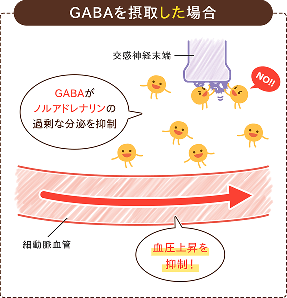 GABAを摂取した場合