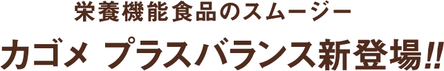 栄養機能食品のスムージー カゴメ プラスバランス新登場!!
