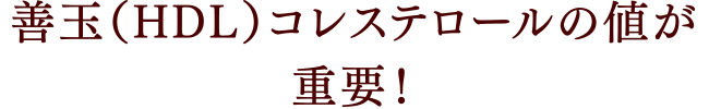 善玉（HDL）コレステロールの値が重要！