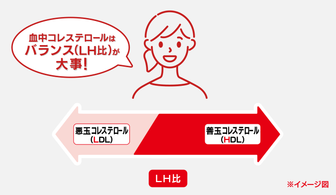 血中コレステロールはバランス(LH比)が大事!