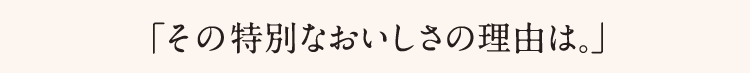 「その特別なおいしさの理由は。」