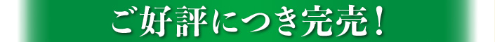 ご好評につき完売！