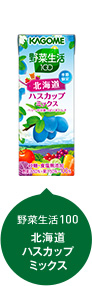 野菜生活100 北海道ハスカップミックス
