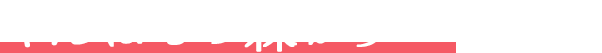 やんばるの森から・・・