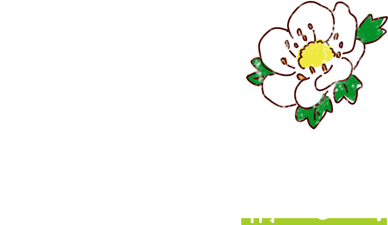 朝はイチゴの葉っぱの先にできる水玉が、陽の光にきらめいて清々しい！