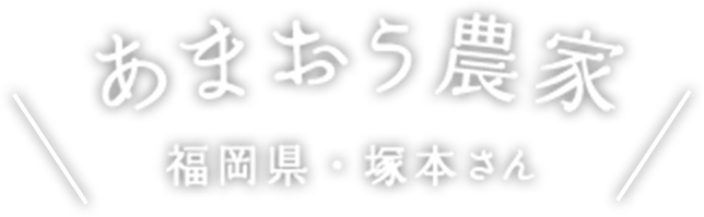 あまおう農家 福岡県・塚本さん