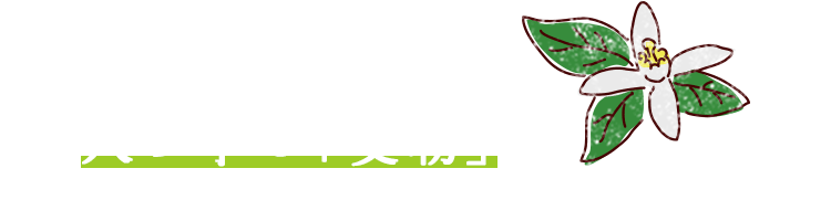 数ある柑橘のなかで、人の手で「受粉」させてもらう柑橘！