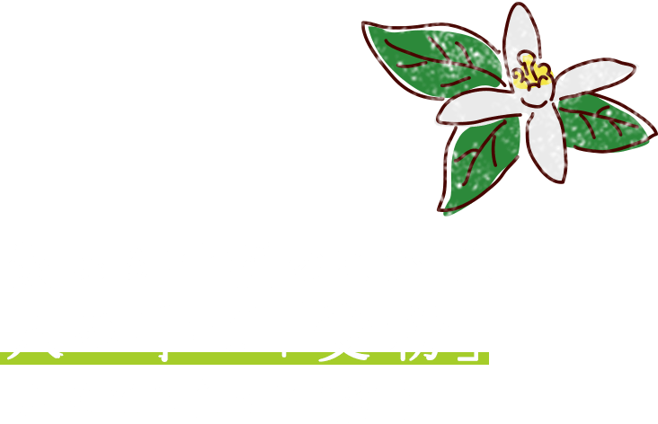 数ある柑橘のなかで、人の手で「受粉」させてもらう柑橘！
