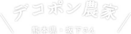 デコポン農家 熊本県・坂下さん