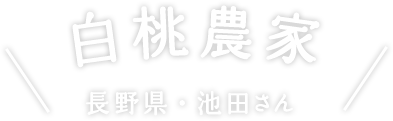 白桃農家 長野県・池田さん